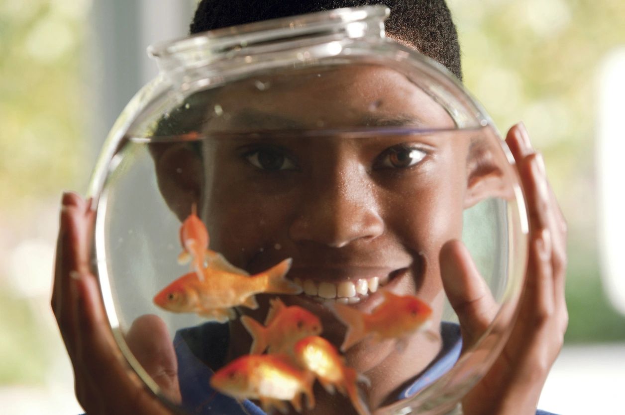 TN Alimony Calculator (2025): Estimate Your Spousal Support Easily & Legally